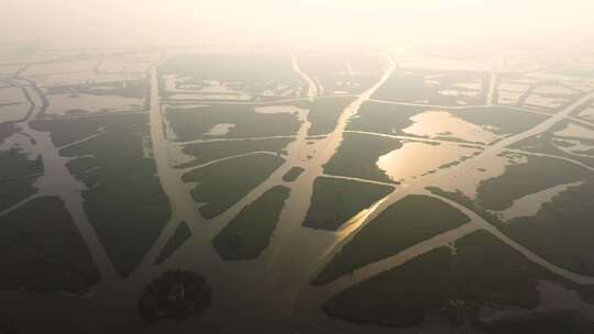 江苏建湖县九龙口湿地