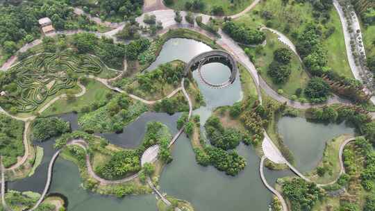 城市绿化植物眉山东坡城市湿地公园航拍