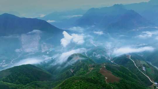 陕西秦岭镇安县海棠山