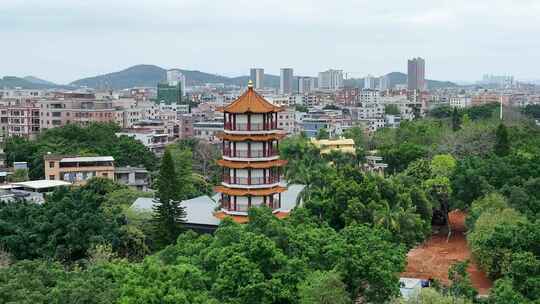 深圳龙园视频素材模板下载