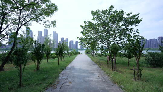 武汉江夏区汤逊湖壹号湿地公园