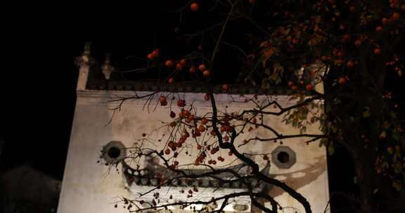 江西婺源篁岭美丽乡村夜晚