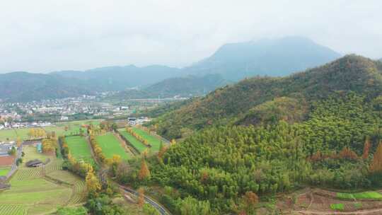 浙江湖州余村青山绿水理论发源地