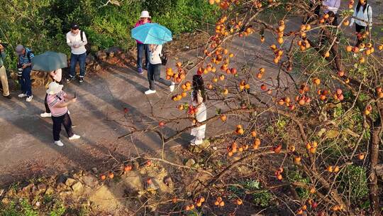 中国广东省广州市从化区吕田镇圭峰村