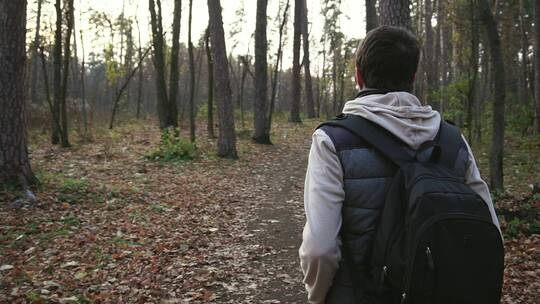 在秋季森林里行走的男士视频素材模板下载