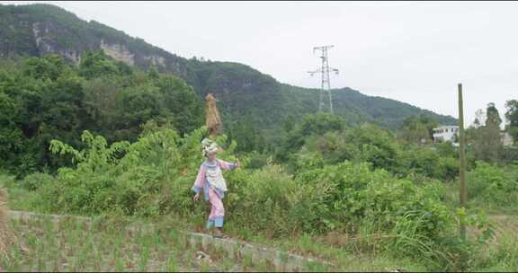 水族端节少数民族贵州云南四川三都端节借端