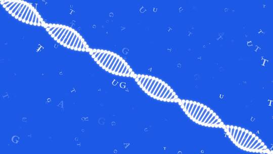 基因链DNA视频视频素材模板下载