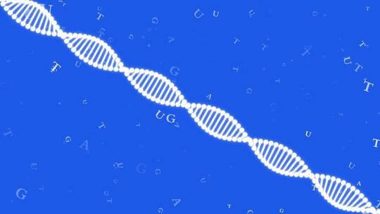 基因链DNA视频