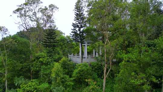 航拍深圳塘朗山公园听涛亭雨后风景