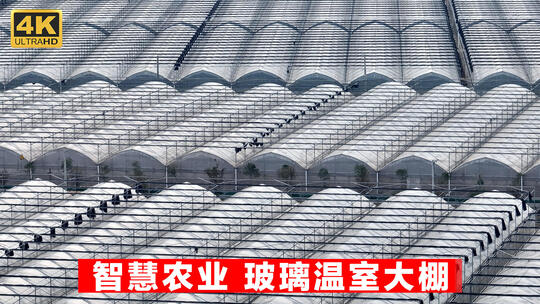 4K航拍现代农业智慧农业玻璃温室大棚