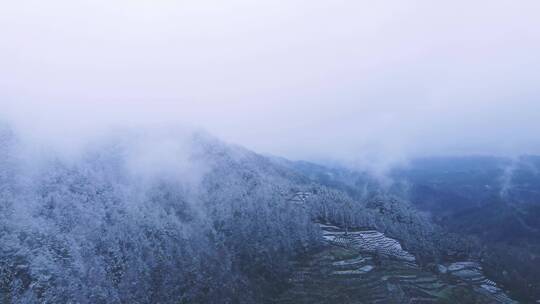 无人机下的雪山