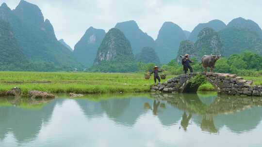 桂林山水美丽乡村田园农民劳动情景