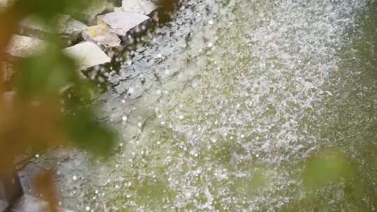 大雨 暴雨  池塘 倾盆大雨