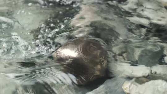 藏族歌钵淹没在流水中