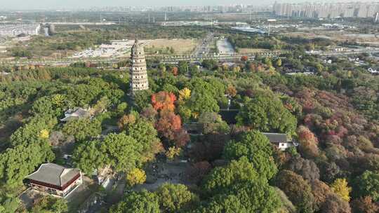 苏州园林旅游地标虎丘秋韵（航拍运镜素材）