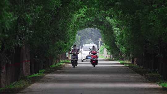 乡村小路骑车