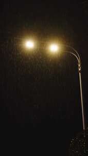 大雨下的路灯竖屏4k
