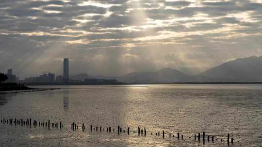 深圳湾公园-河套长富中心丁达尔延时