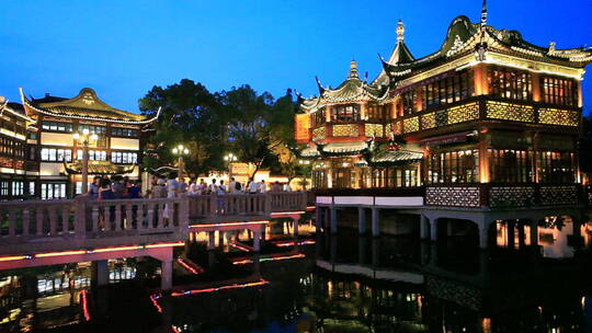 夜幕下的上海豫园视频视频素材模板下载