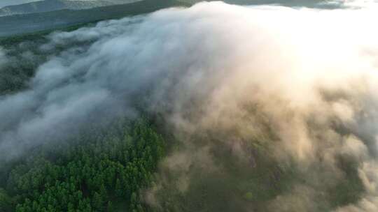 飞行在云雾缭绕的山林上