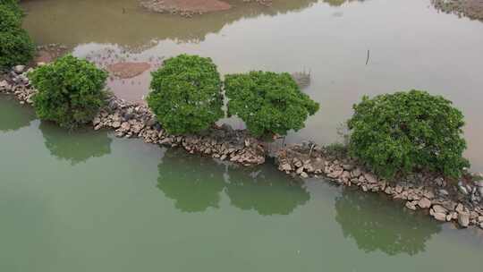 生态湿地保护区航拍