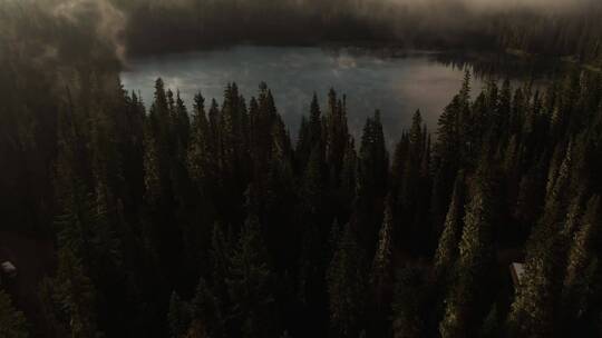 航拍云雾里的森林