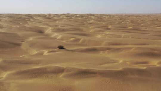新疆塔里木盆地浩瀚的沙漠视频素材模板下载