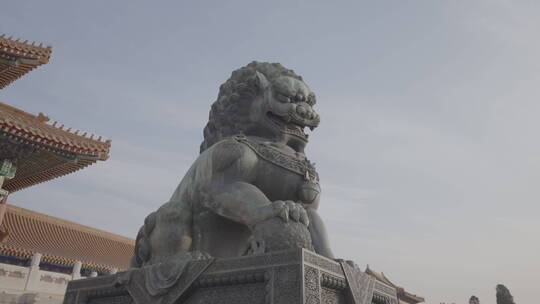 故宫 紫禁城 铜狮