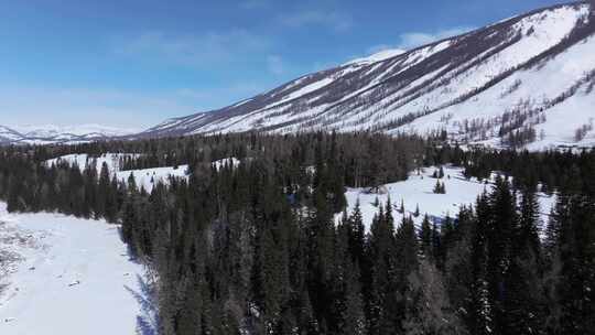 航拍新疆冬季喀纳斯河流晨雾雪山森林雪景