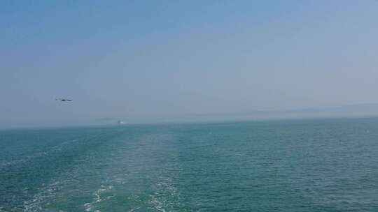 蓝色海洋大海海鸥岛屿浪花风景航拍