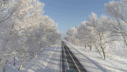 冬季白雪覆盖的树木公路视频素材模板下载