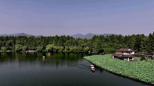 杭州西湖曲院风荷 湛碧楼 荷花视频素材模板下载