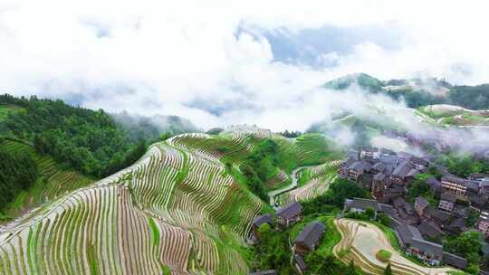 航拍广西桂林龙脊梯田高山云海壮丽风景