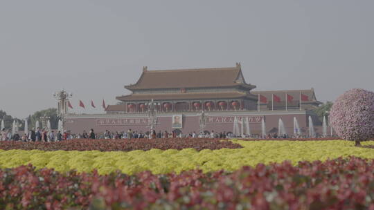 天安门红旗飘扬 国庆 祝福祖国