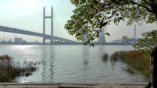 上海黄浦江闵浦大桥视频素材模板下载