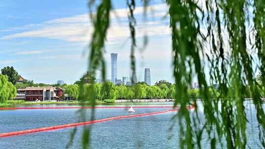 北京中轴线什刹海后海公园夏季市井人文