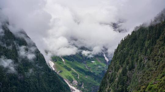 藏区雪山下的原始森林溪流云雾