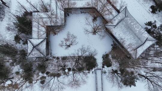 航拍戴河生态园雪景