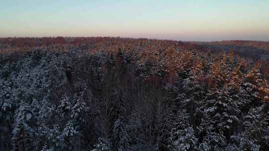 阿勒泰喀纳斯雪景