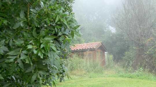 浓雾下的山间小木屋，近景