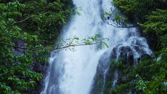 高清4K降水雨季山泉瀑布流水升格视频素材