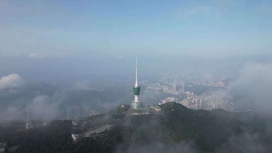 深圳梧桐山云海