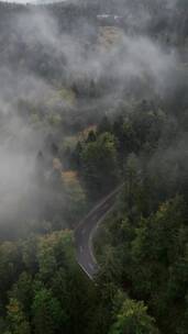 治愈系风景，我可以一直治愈你了，风景