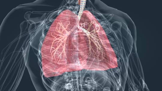 肺呼吸肺活量深呼吸支气管医学特效三维动画
