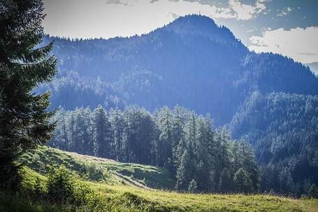 笛音与欢笑 拉萨盛典 欢快 藏族 热烈
