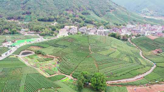 杭州龙坞西湖龙井茶园风景航拍