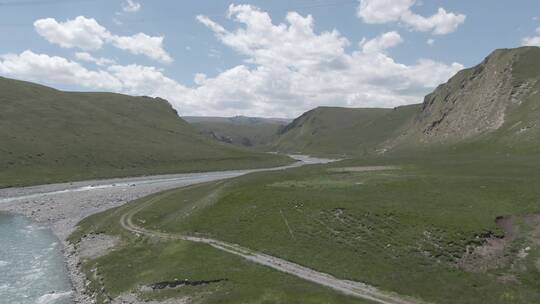 伊犁 新疆草原