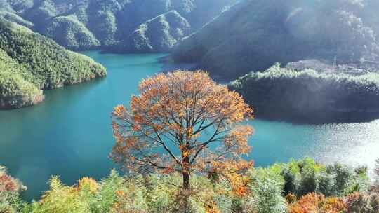 四明山秋天秋景秋色 茅镬公园