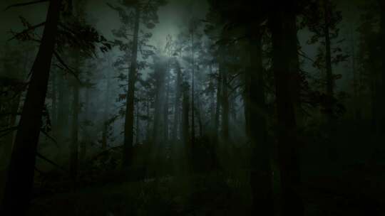 森林中的恐怖场景，黑夜，月光，雾中的恐怖