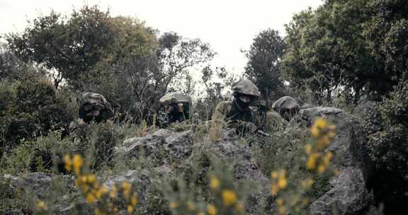 四名士兵在荒野中用双筒望远镜从灌木丛中窥